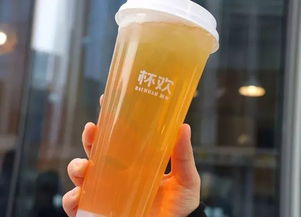 奶茶與微醺的華爾茲 北京8家熱門店深度測評報告